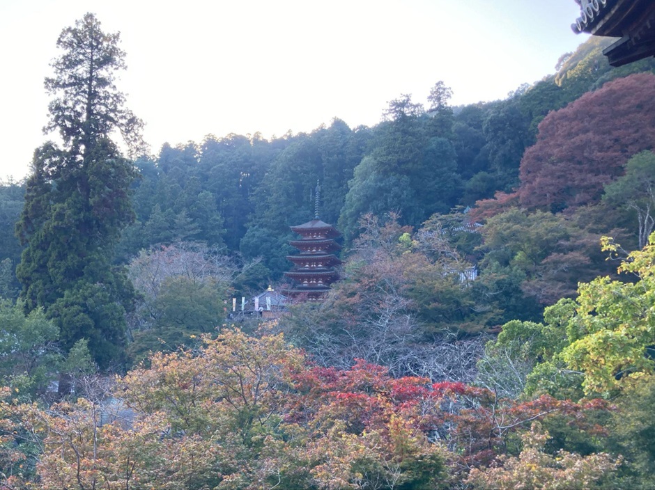長谷寺_五重塔