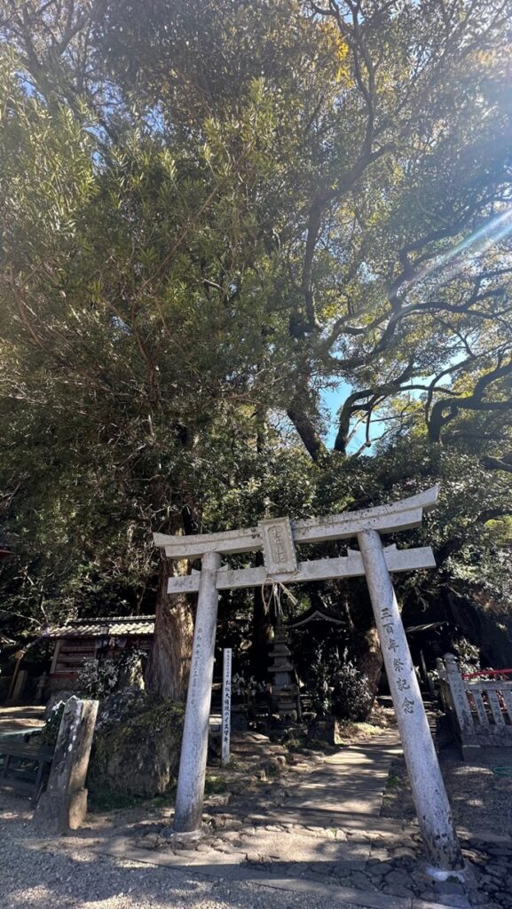 お松大権現_イヌマキ