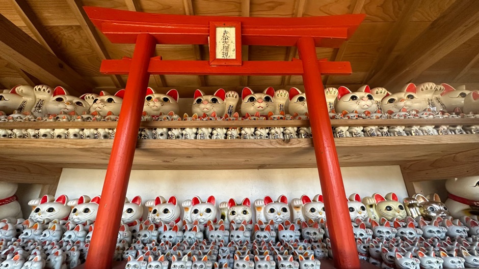 お松大権現_猫奉納