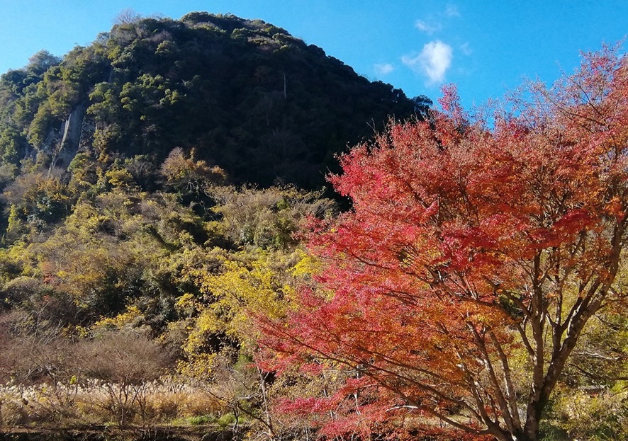 耶馬渓_紅葉