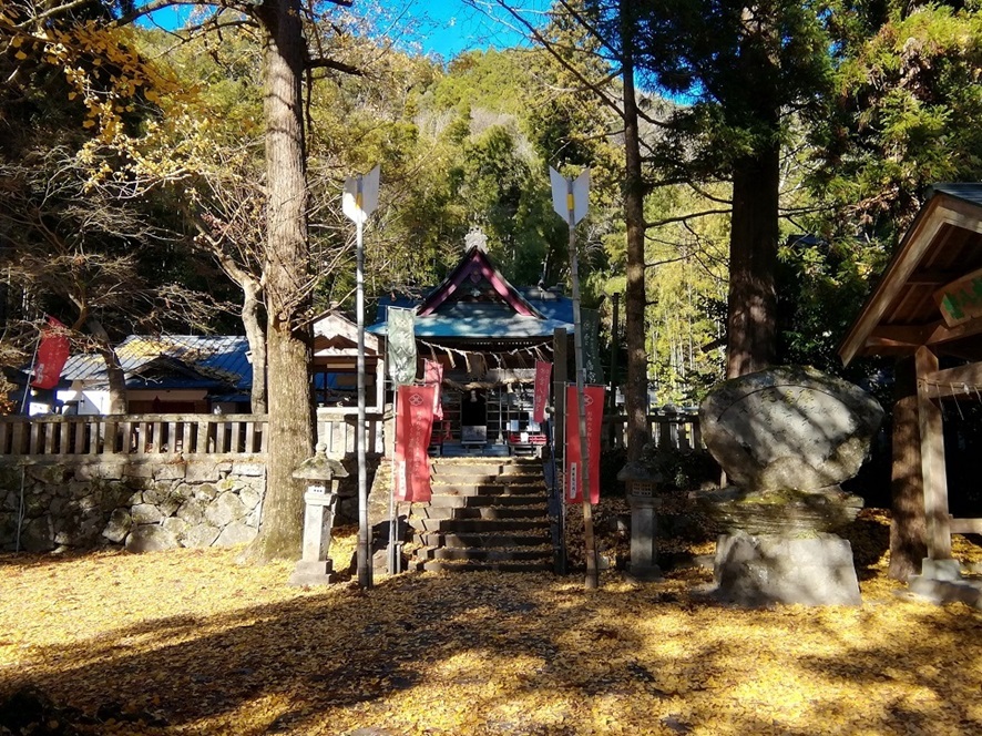 雲八幡宮_紅葉