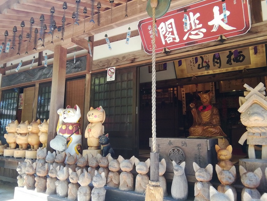 雲林寺ネコ寺_大悲閣