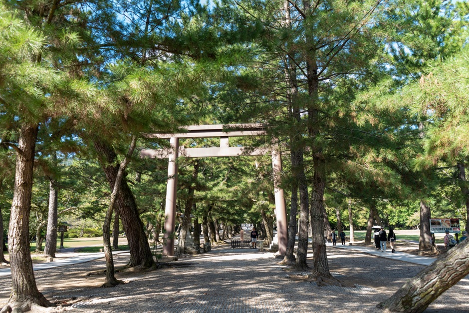 出雲大社_三の鳥居_松並木