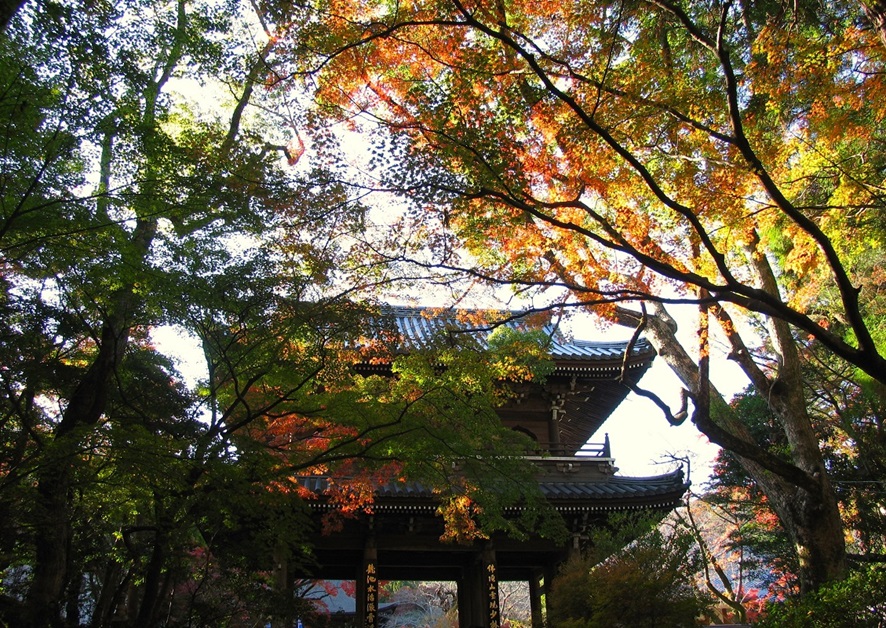 功山寺_紅葉_山門