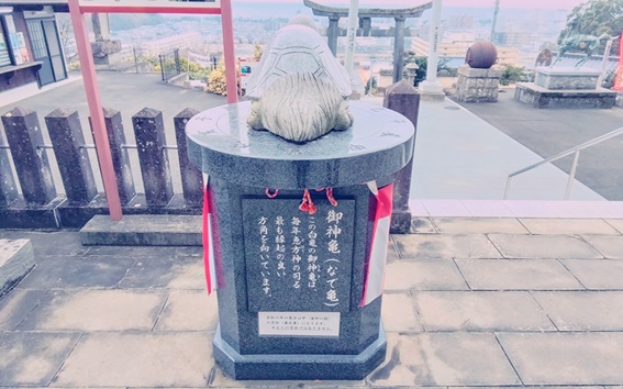 八幡竈門神社_御神亀