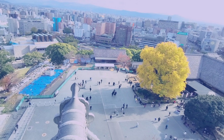 加藤神社_熊本城_イチョウ