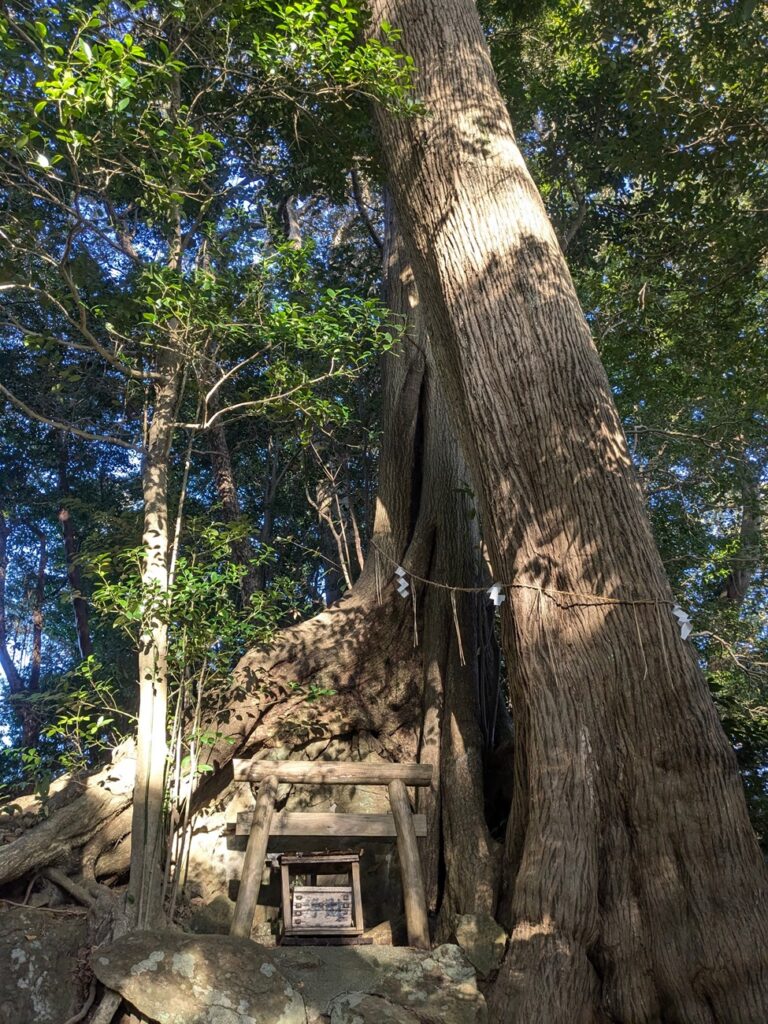 事任八幡宮_本宮遥拝所