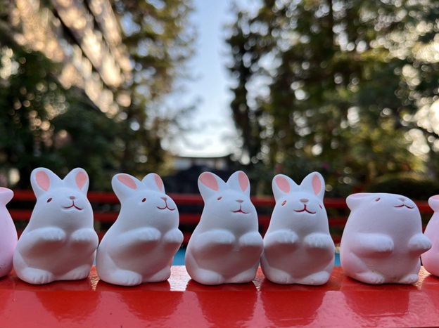 岡崎神社_うさぎみくじ