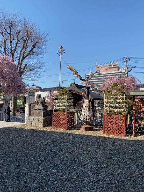 櫻山神社_境内_桜・狛犬