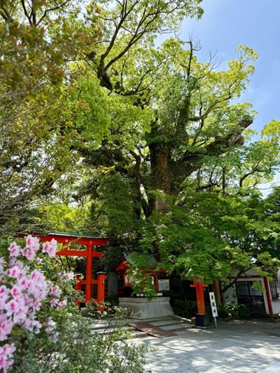 枚聞神社_境内
