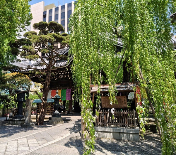 六角堂頂法寺_六角柳