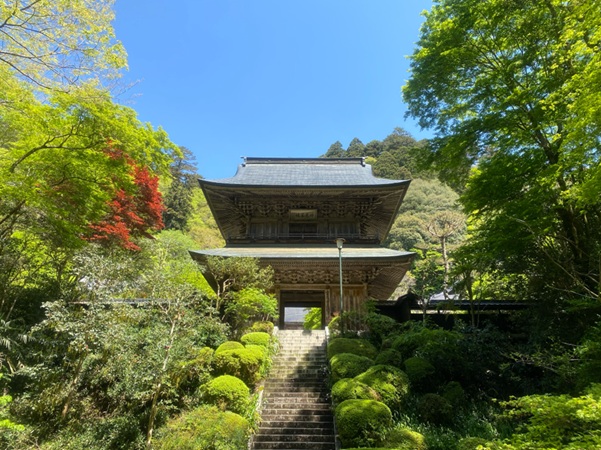雲巌寺_山門