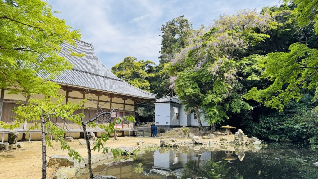 大照院_大フジ