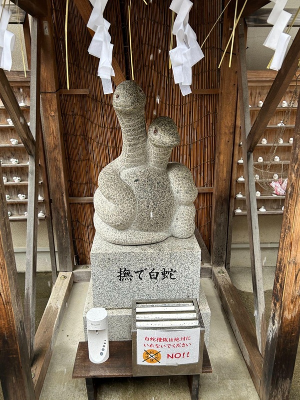 蛇窪神社_撫で白蛇