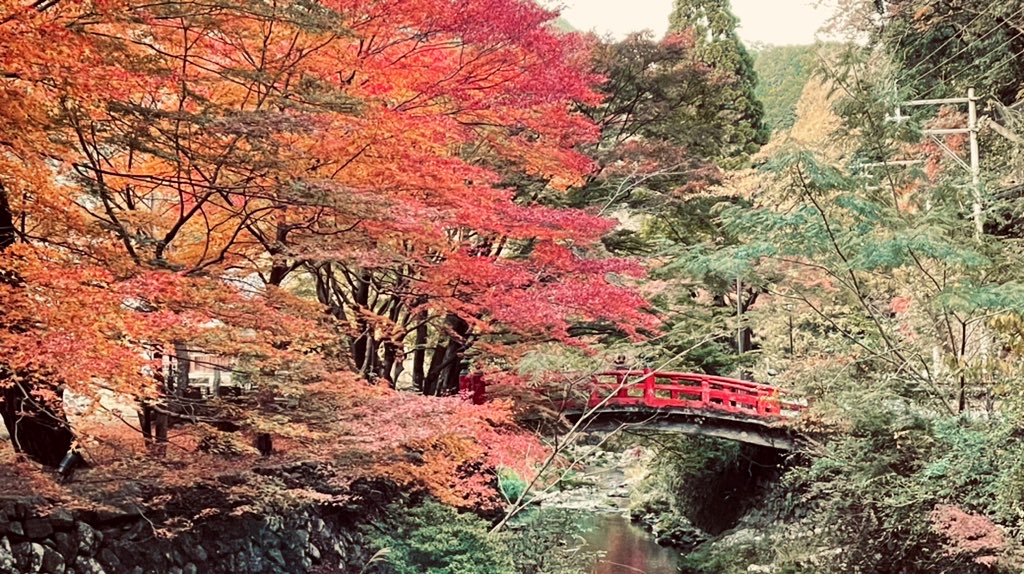 大寧寺_紅葉