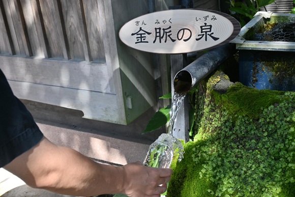 阿蘇神社_水基