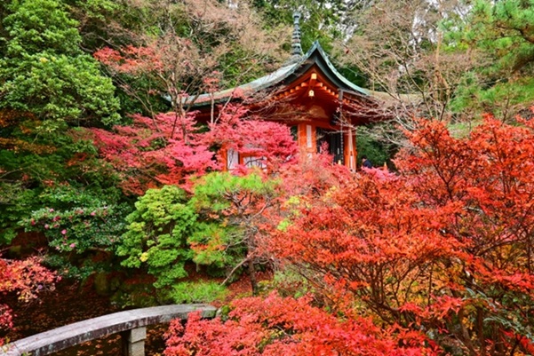 毘沙門堂_弁天堂_紅葉
