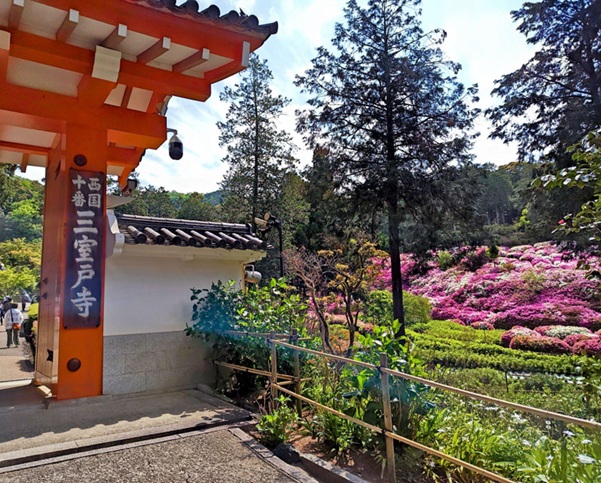 三室戸寺_山門