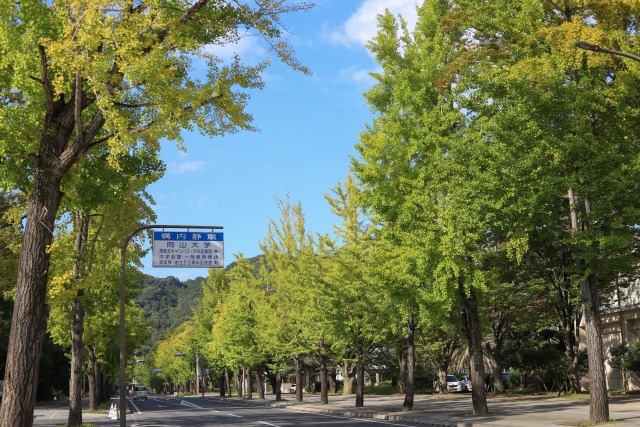 岡山市_岡山大学