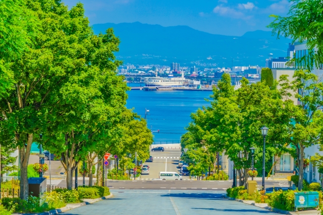 函館市_八幡坂