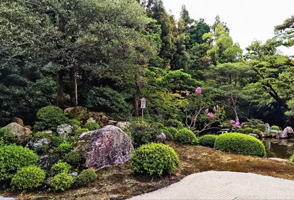 知恩院_庭園_百日紅