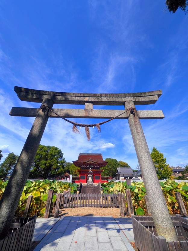 伊賀八幡宮_境内