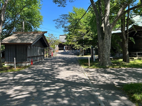 亀田八幡宮_境内