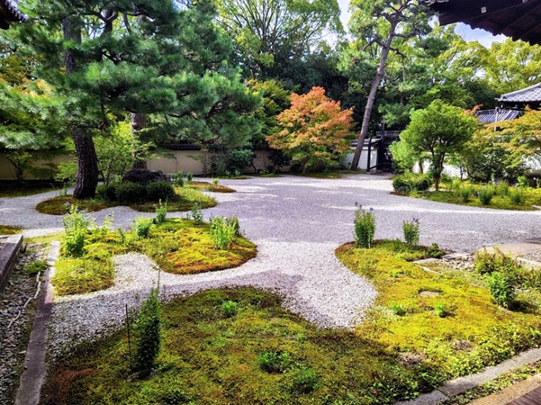 廬山寺_源氏庭