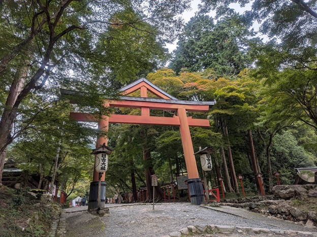 日吉大社_山王鳥居