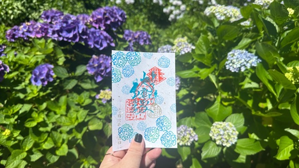 雲辺寺_御朱印_紫陽花