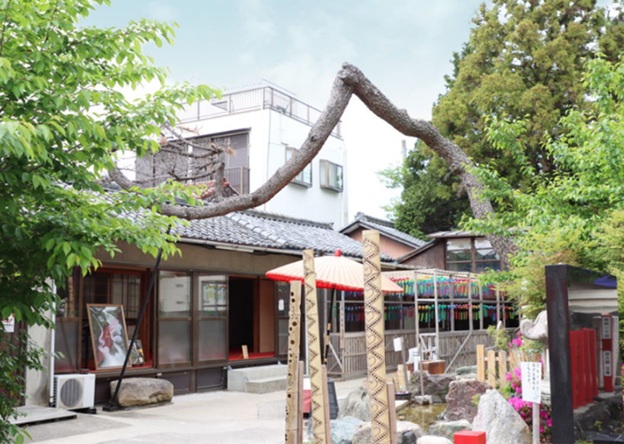 別小江神社_龍神松