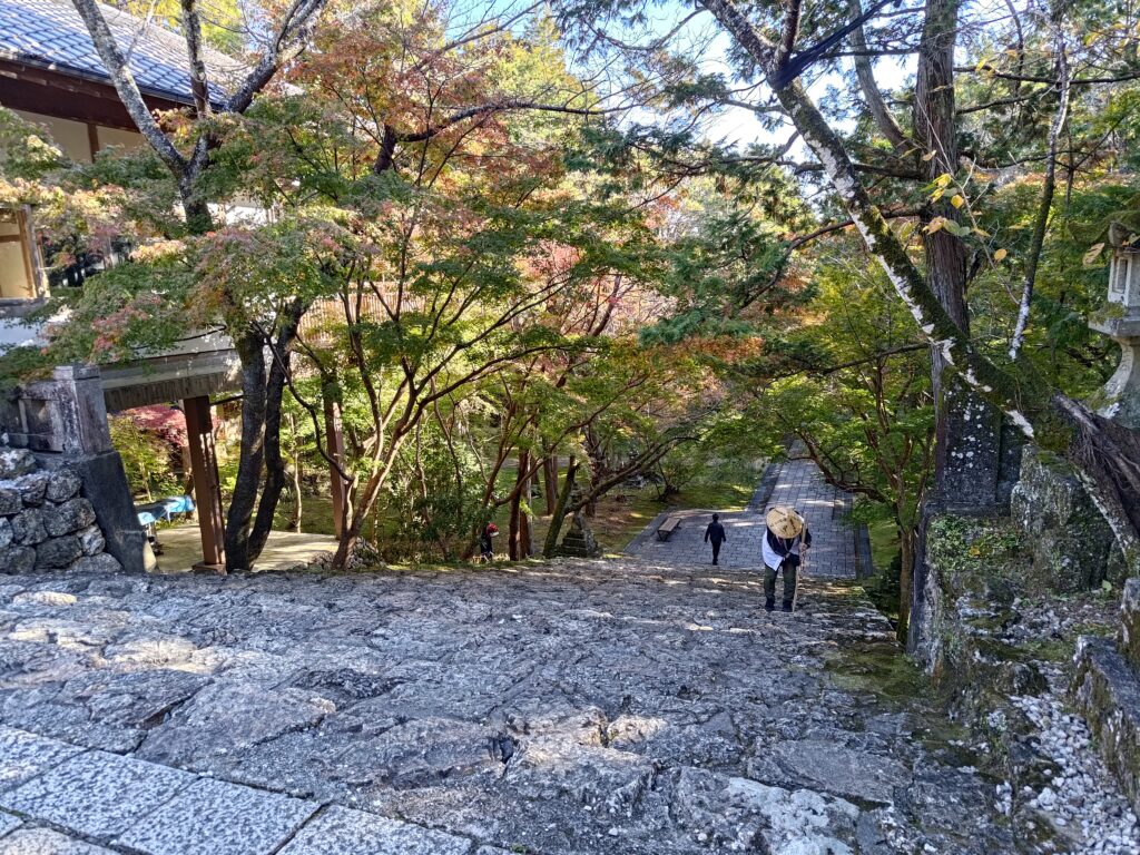 竹林寺_参道石段