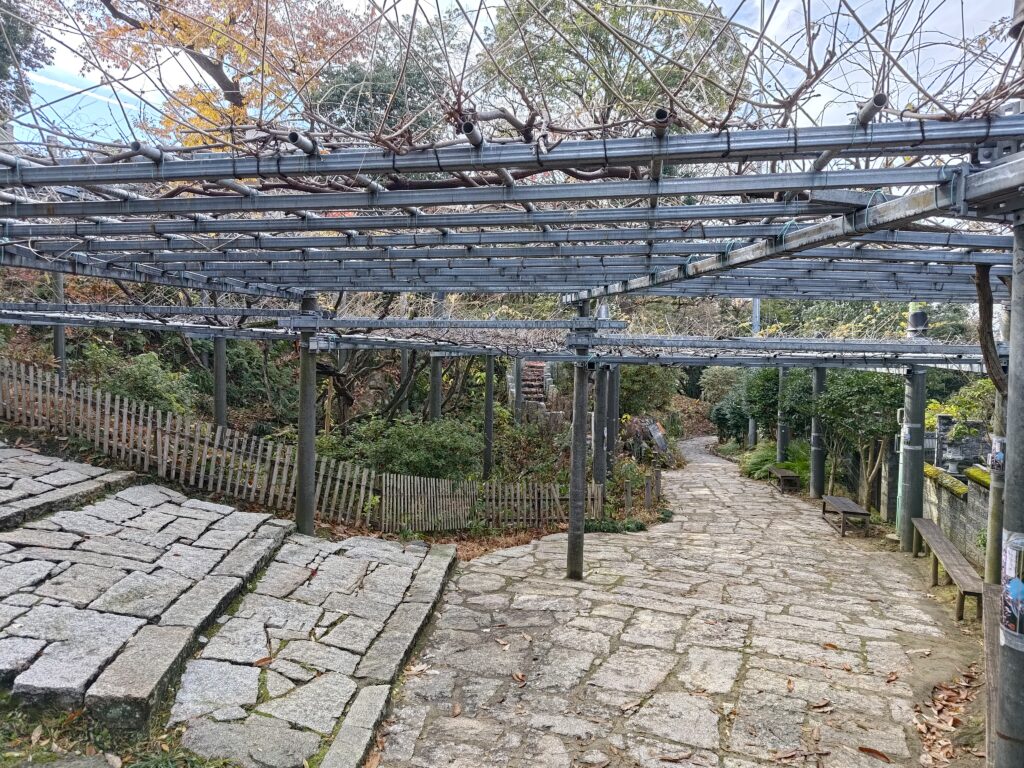 阿智神社_阿智の藤
