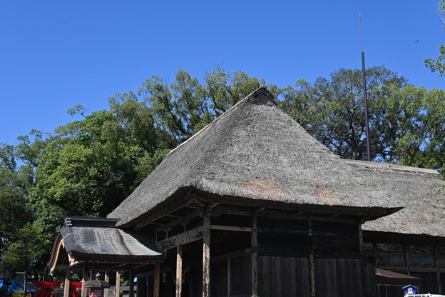 青井阿蘇神社_社殿