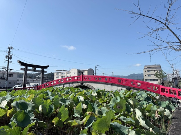 青井阿蘇神社_禊橋