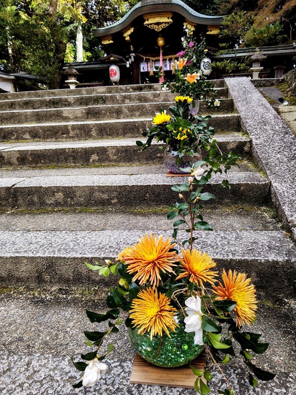 八大神社_参道_草花