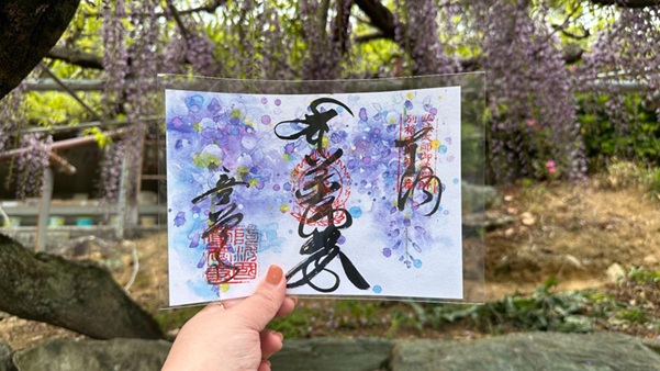 童学寺_御朱印_藤まつり限定