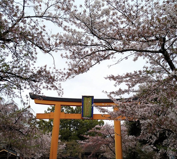 平野神社_鳥居
