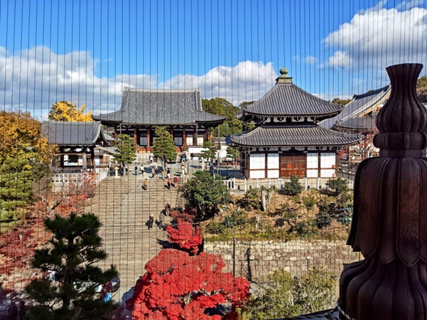 金戒光明寺_境内