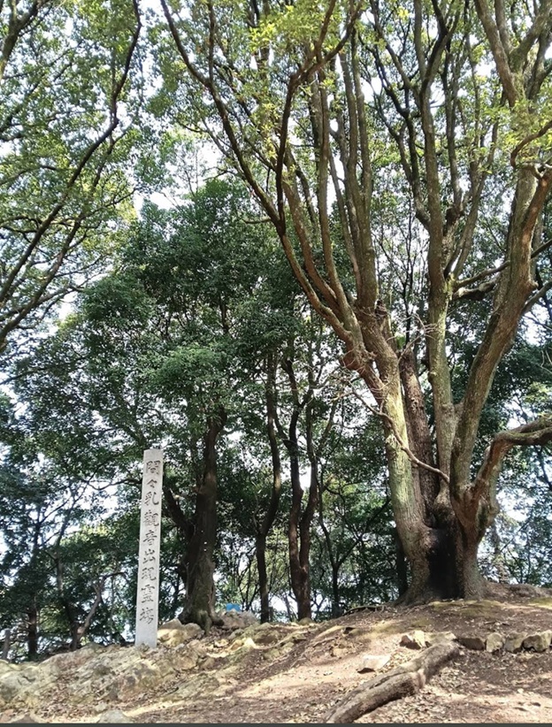 間々観音_小牧山