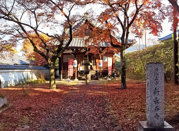 真如堂新長谷寺_境内