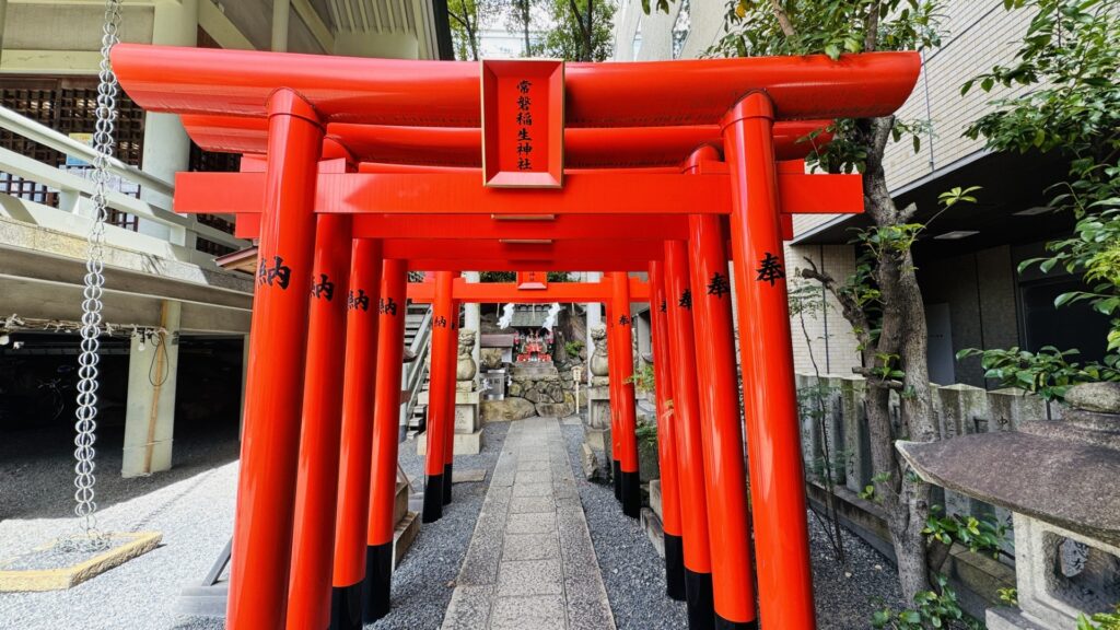 白神社_常磐稲生神社_赤鳥居