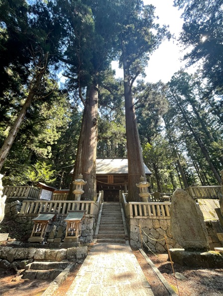 恵那神社_夫婦杉