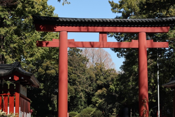 氷川神社_鳥居