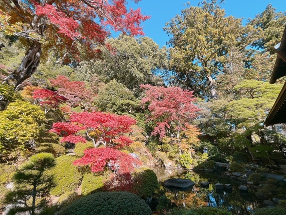 修善寺_庭園_紅葉