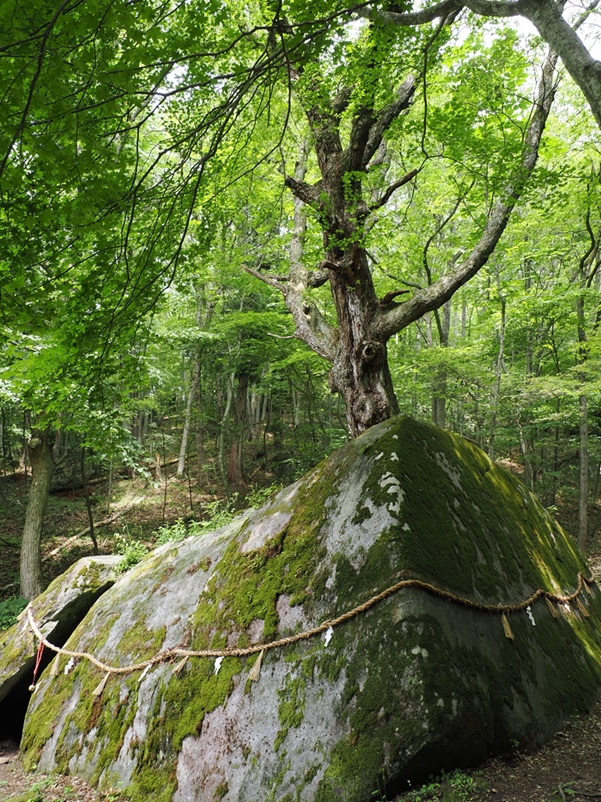 丹内山神社_胎内石