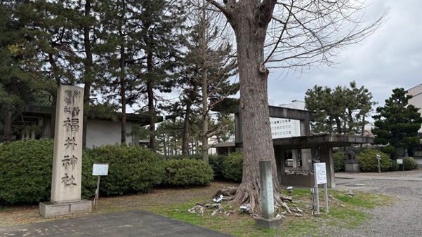 福井神社_イチョウ_社号標