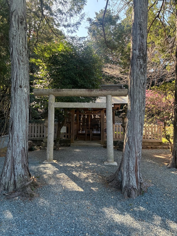 井伊谷宮_井伊社