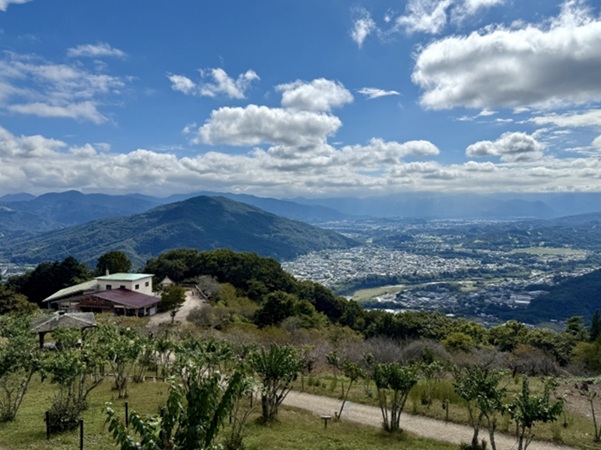 寳登山_秩父盆地