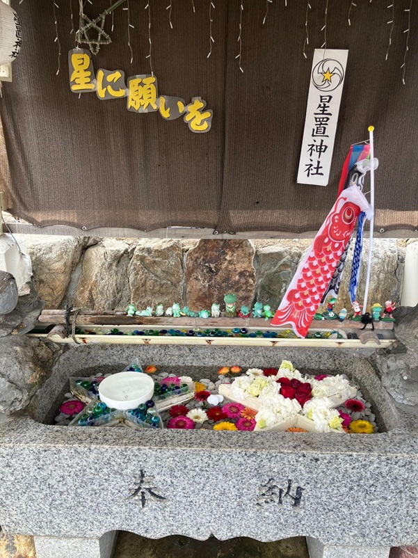 星置神社_星に願いを_花手水
